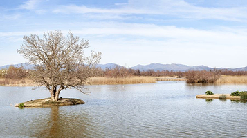 珠海横琴滨海湿地公园