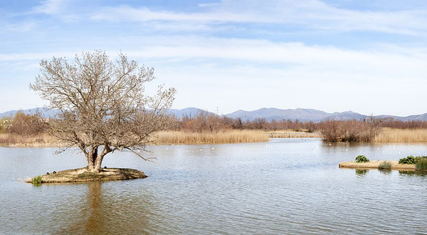 珠海横琴滨海湿地公园
