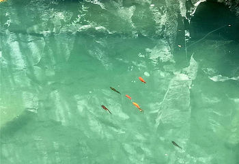 清风峡生态旅游区第 25 张图片