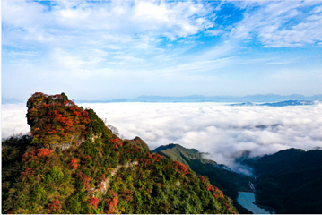 天门山国家森林公园第 118 张图片