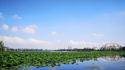 玄武湖景区-十里长堤第 1 张图片