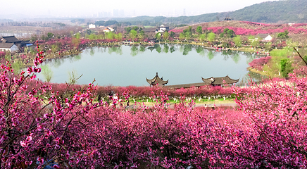 香山景区第 37 张图片