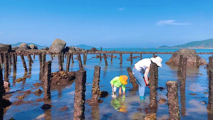趣赶海旅游度假区第 5 张图片