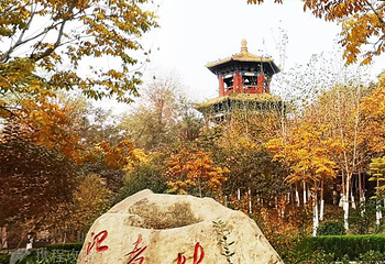 天逸公园第 2 张图片