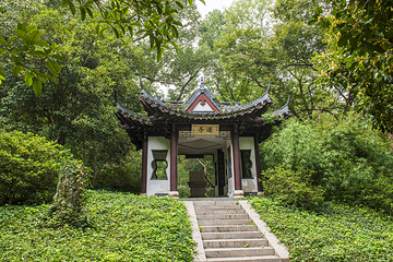 南山第 7 张图片