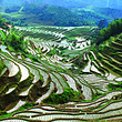 桃源梯田