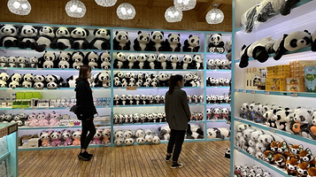 大熊猫太阳产房