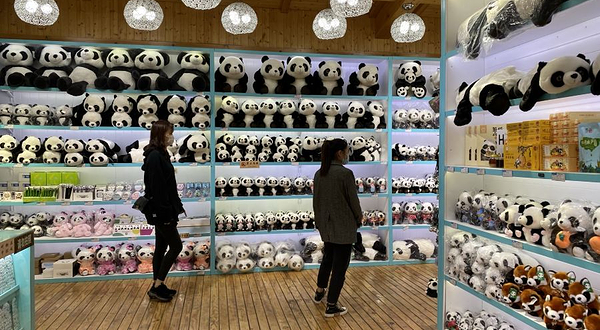 大熊猫太阳产房