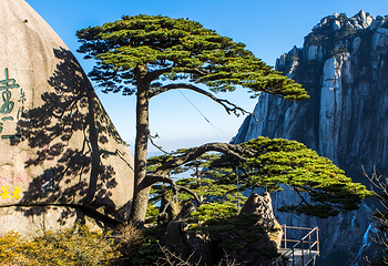 黄山风景区-玉屏景区第 5 张图片