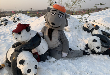 茱萸山滑雪场第 47 张图片