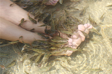天悦湾温泉第 58 张图片