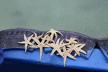 疍家赶海湾第 9 张图片