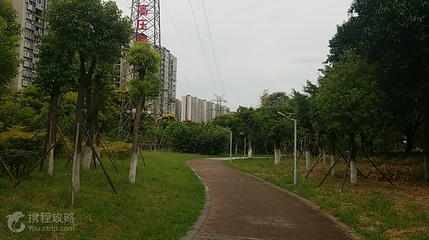多宝寺公园第 2 张图片