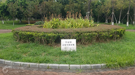 多宝寺公园第 4 张图片
