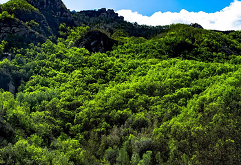 云蒙山风景区第 120 张图片