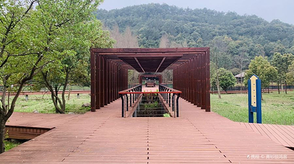 马山湿地第 1 张图片