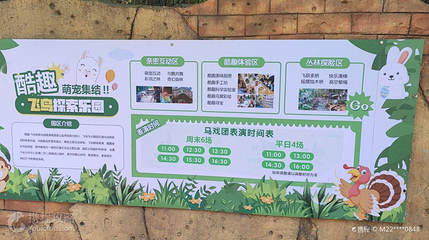 飞鸟探索乐园第 2 张图片