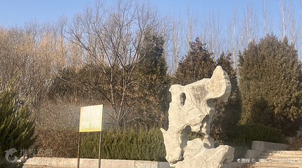 北胶新河湿地公园第 5 张图片