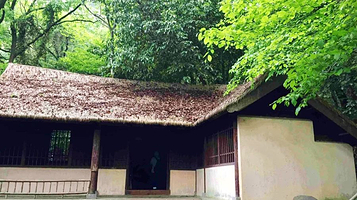 茅蓬自然保护区