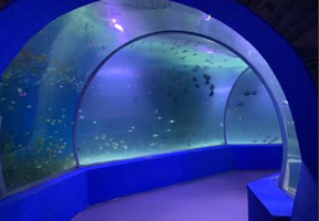 大名府海洋世界