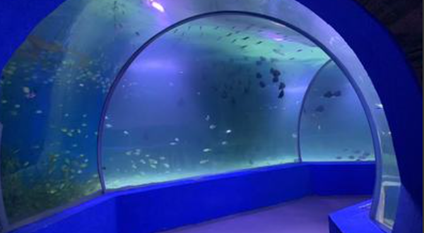 大名府海洋世界