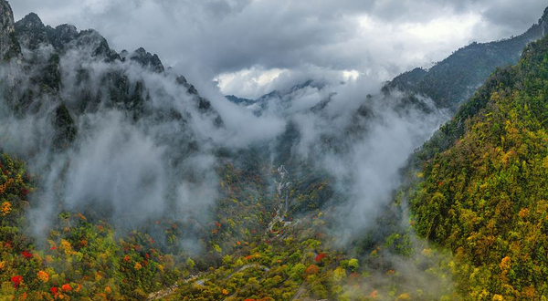 太白山国家森林公园-红桦坪