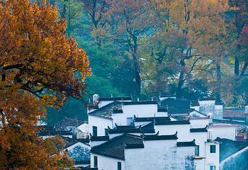 婺源风景区第 166 张图片