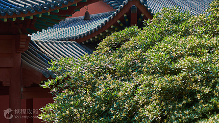四祖寺第 2 张图片
