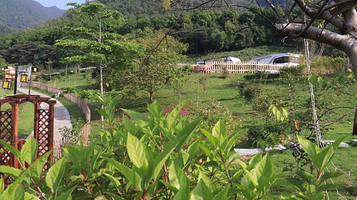 中游房车露营基地