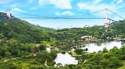 钦州那雾山森林公园第 1 张图片