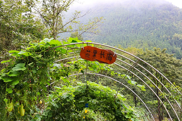 云山渔谷第 14 张图片