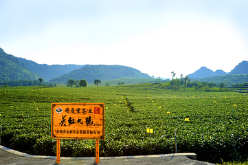 积庆里红茶谷第 34 张图片
