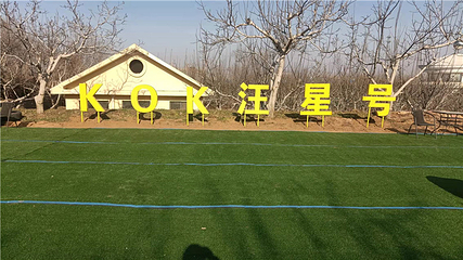 KOK汪星号宠物乐园第 11 张图片