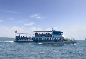 青岛海上观光第 19 张图片