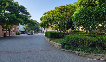 福建路第 1 张图片