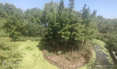 燕尾洲公园第 3 张图片