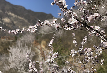 北京药王谷风景区第 27 张图片