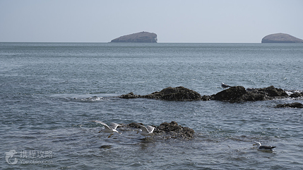 七贤岭海滩第 4 张图片