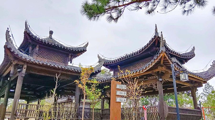南屏山森林公园第 1 张图片