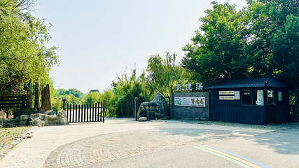 黄海野鹿荡第 7 张图片