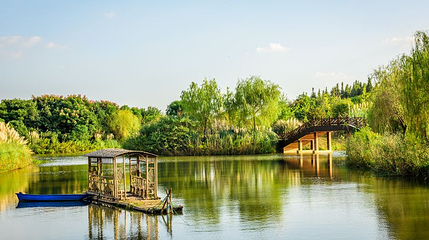 南湖湿地公园第 1 张图片