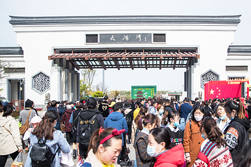 大洋湾生态旅游景区第 74 张图片