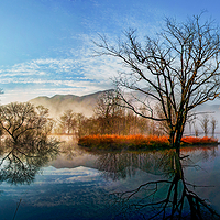 大九湖国家湿地公园