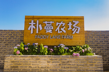 朴蔓农场第 6 张图片