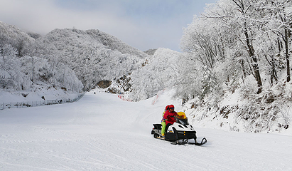 神农架中和国际滑雪场第 11 张图片