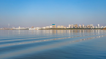 黄河湿地景观区