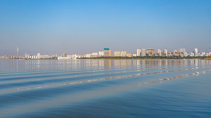 黄河湿地景观区第 1 张图片