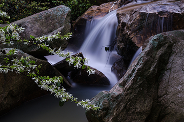 南岳衡山风景名胜区第 98 张图片