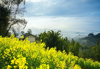 成都天台山旅游景区第 18 张图片