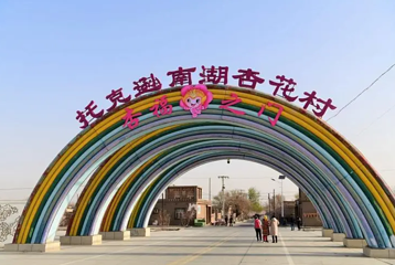 托克逊南湖杏花村第 1 张图片